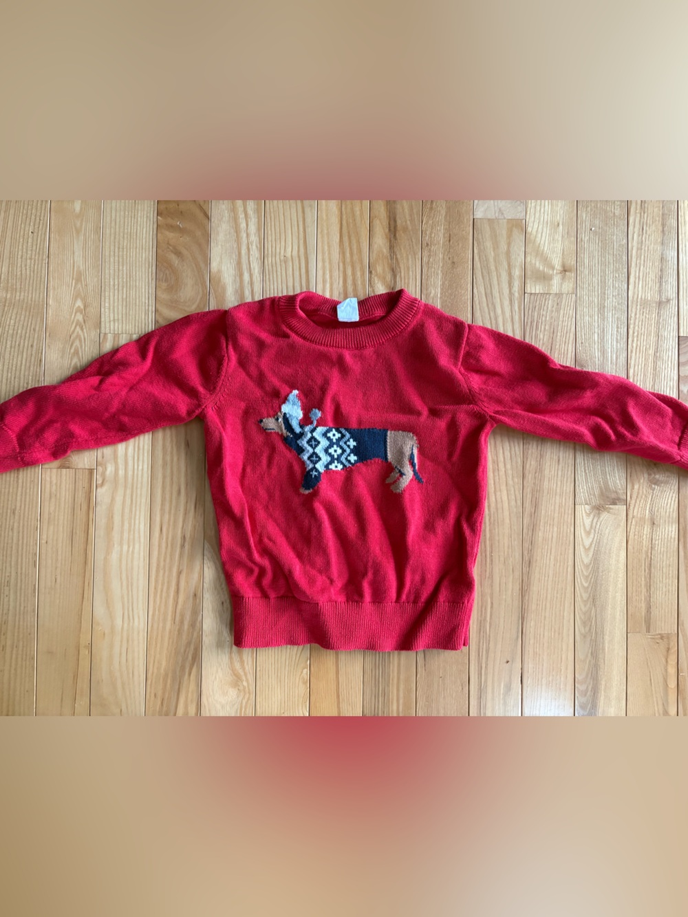 Baby gap Red Kids Sweater with Dog